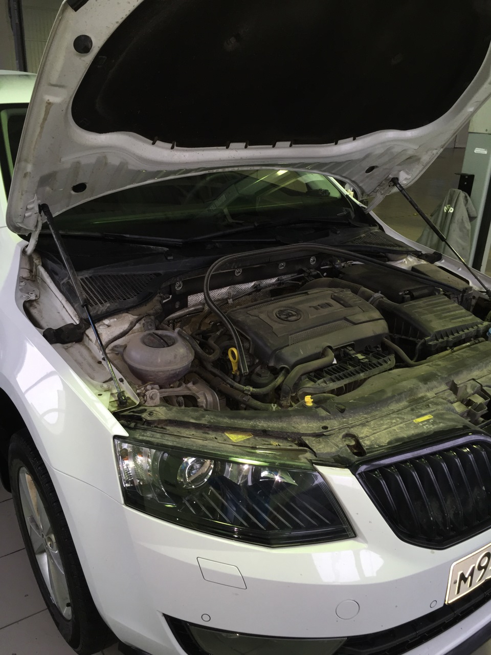 Прощай ППД! Не ужились). Замена пружин, сайлентблоков. — Skoda Octavia  Combi A7 Mk3, 1,8 л, 2014 года | тюнинг | DRIVE2