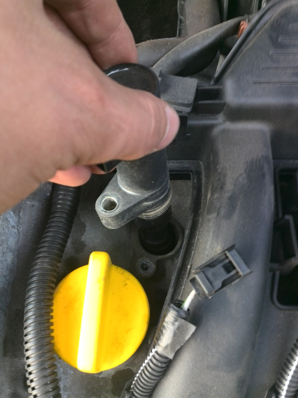 Фото в бортжурнале Renault Logan (1G)