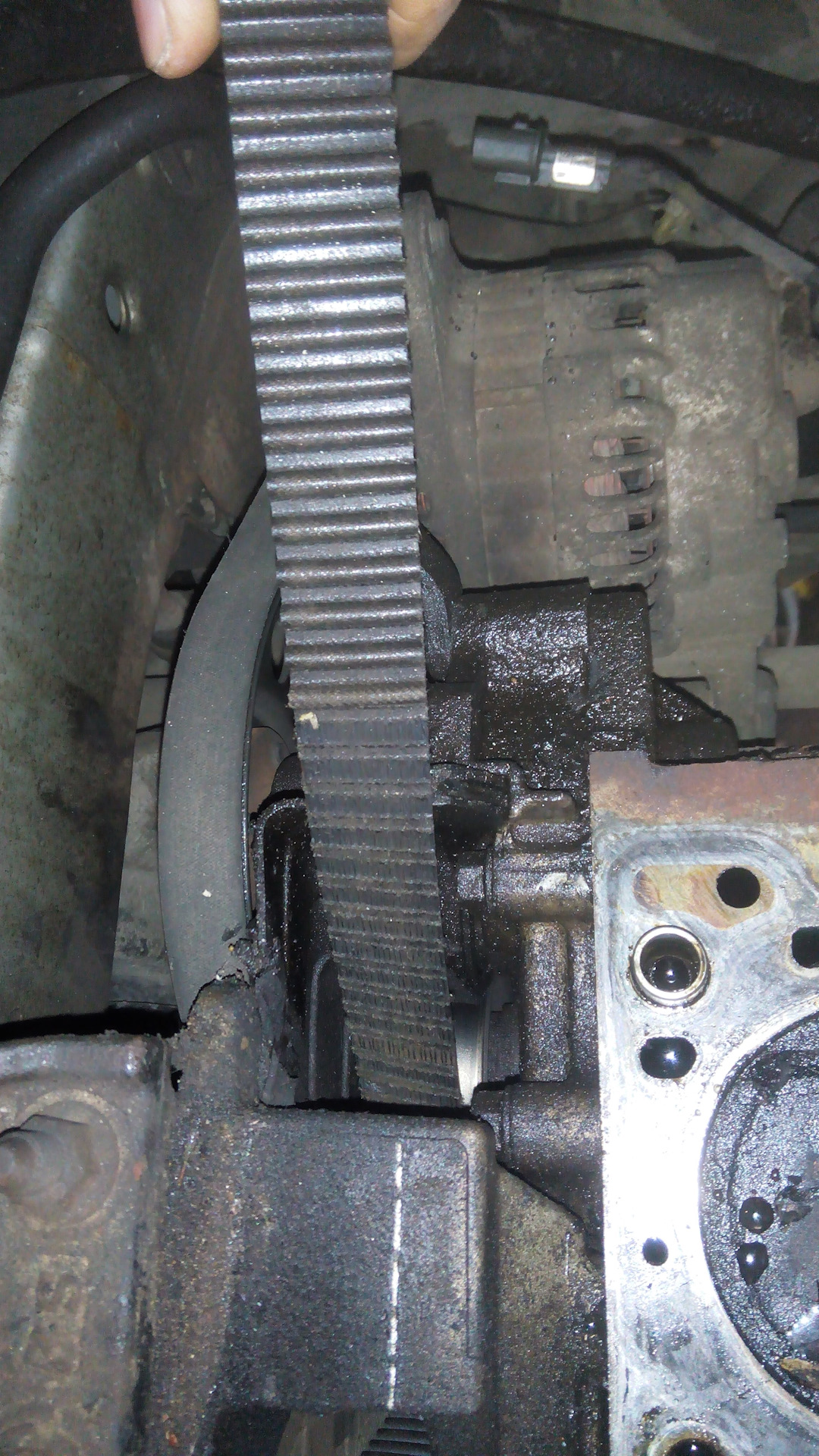 Причины обрыва ремня грм contitech. Рваный ремень грм. Ремень грм hyundai. Ремень грм обрыв что будет. Оборванный ремень грм.