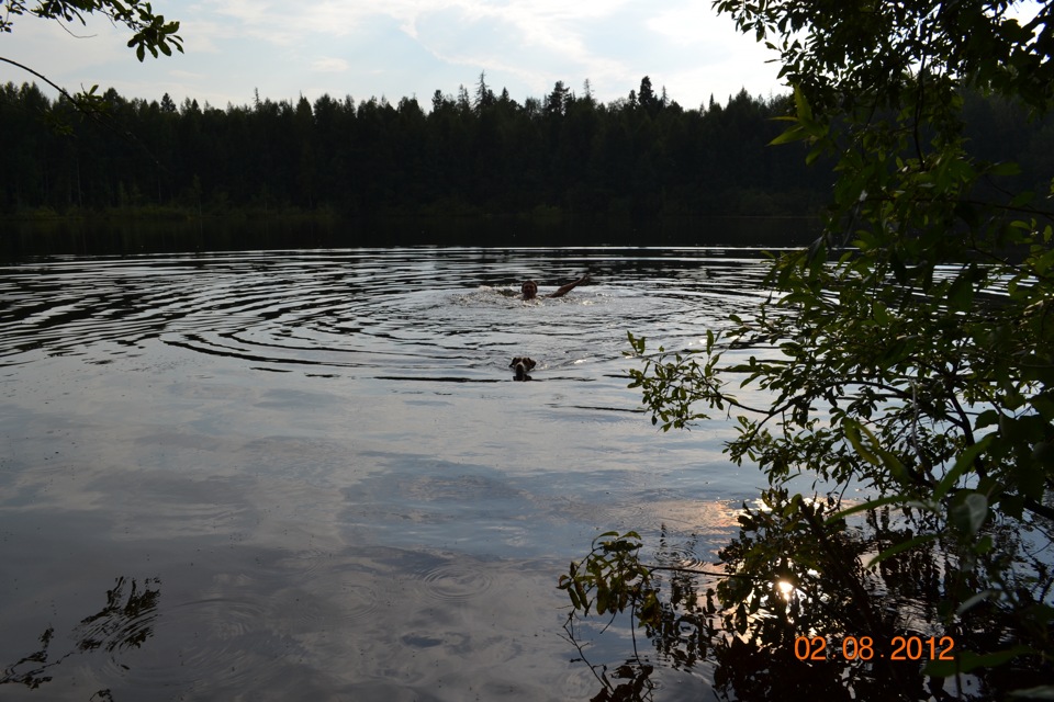 Фото в бортжурнале Mitsubishi Pajero Sport (2G)