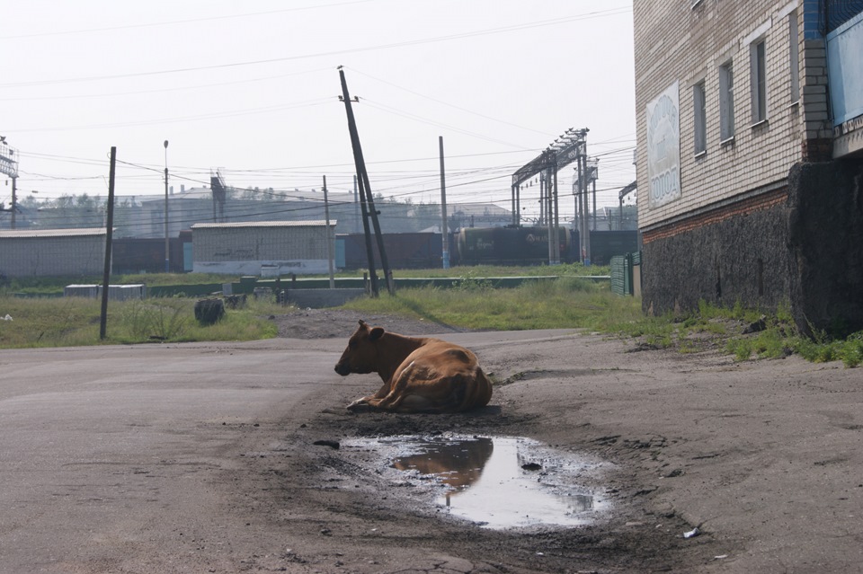 Погода в амазаре забайкальский край 10. Могоча Забайкальский край. Амазар Забайкальский край. Могоча Амазар.