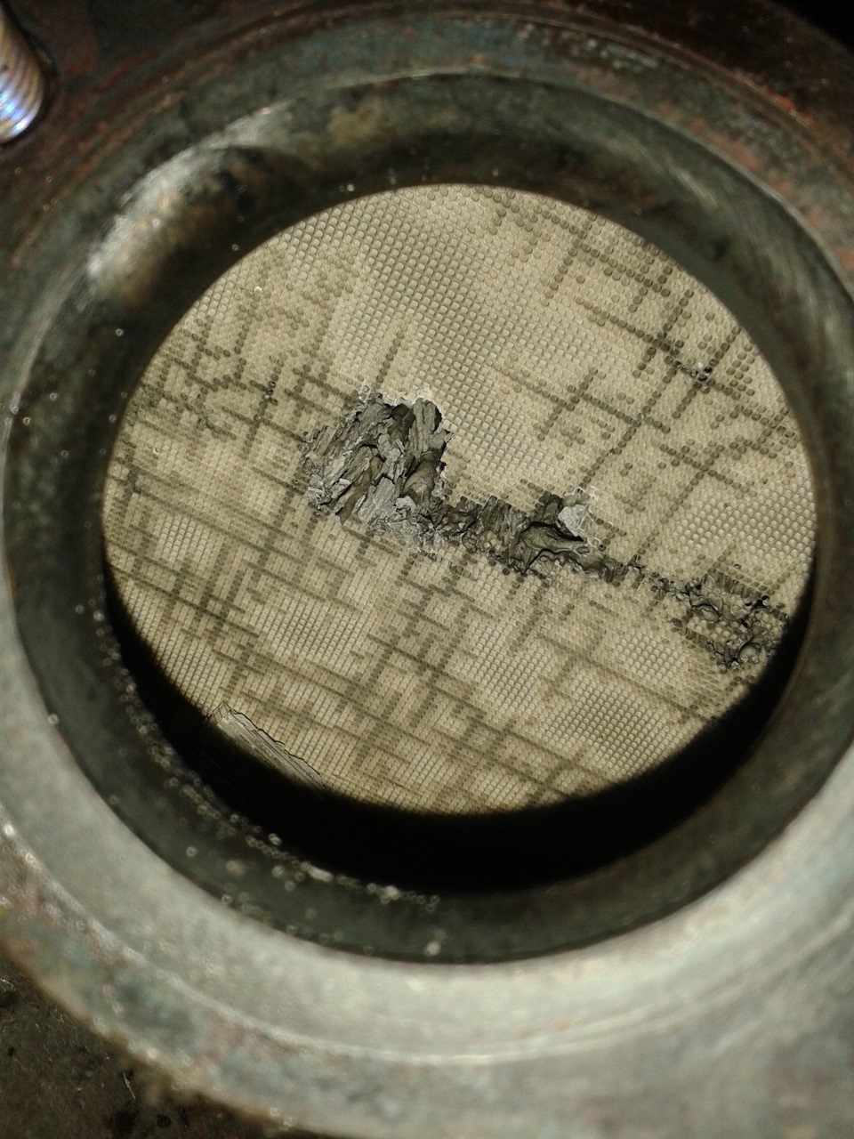 Фото в бортжурнале Volkswagen Tiguan (1G)