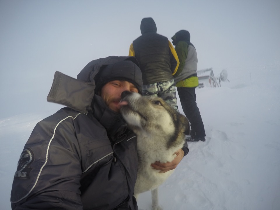 Фото в бортжурнале УАЗ 39095