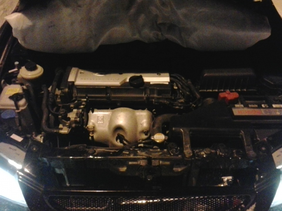 Автоодеяло и мойка Двигателя. — Hyundai Accent (2G), 1,5 л, 2008 года ...