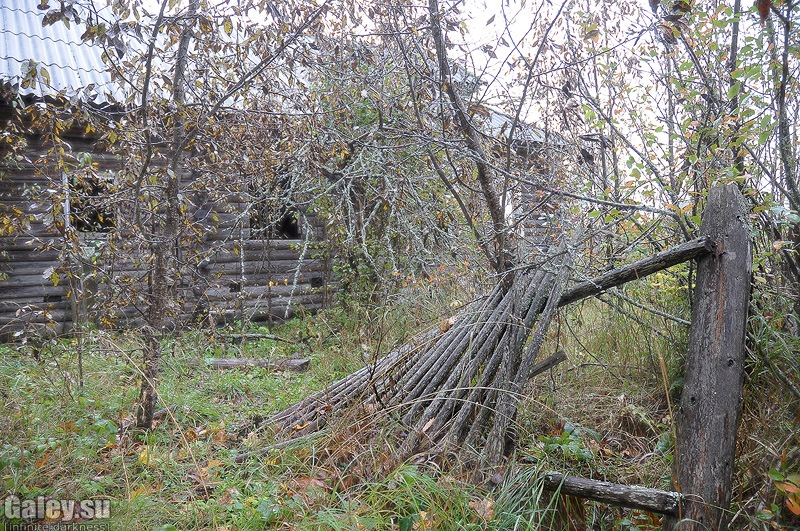 Деревня глухово. Деревня Глухово Новгородская область. Д Глухово Удмуртия. Село Глухово Удмуртская область. Деревня Глухово дерево в поле Нижегородская область.