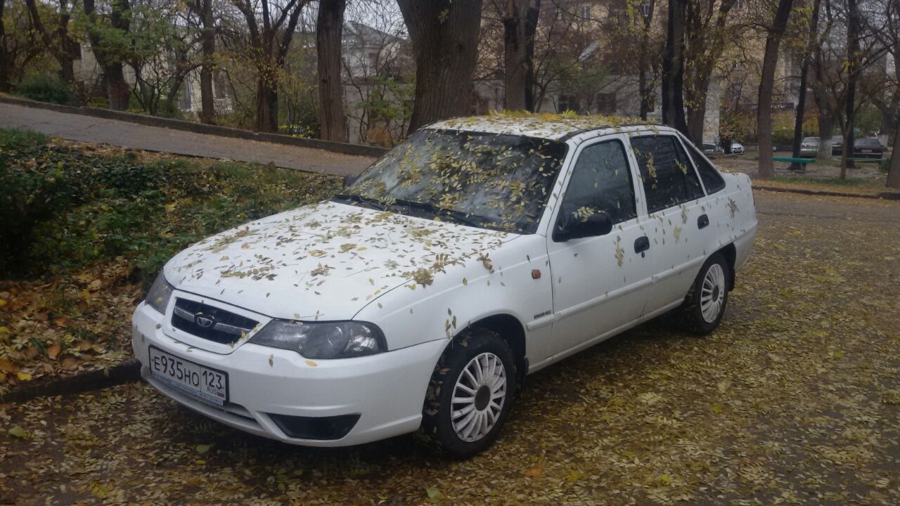 Daewoo Nexia (N150) 1.6 бензиновый 2012 | 1.6 Люкс на DRIVE2