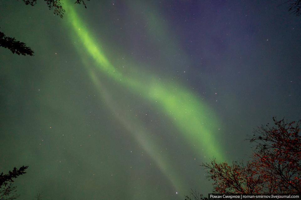 Фото в бортжурнале Chevrolet Niva (1G)