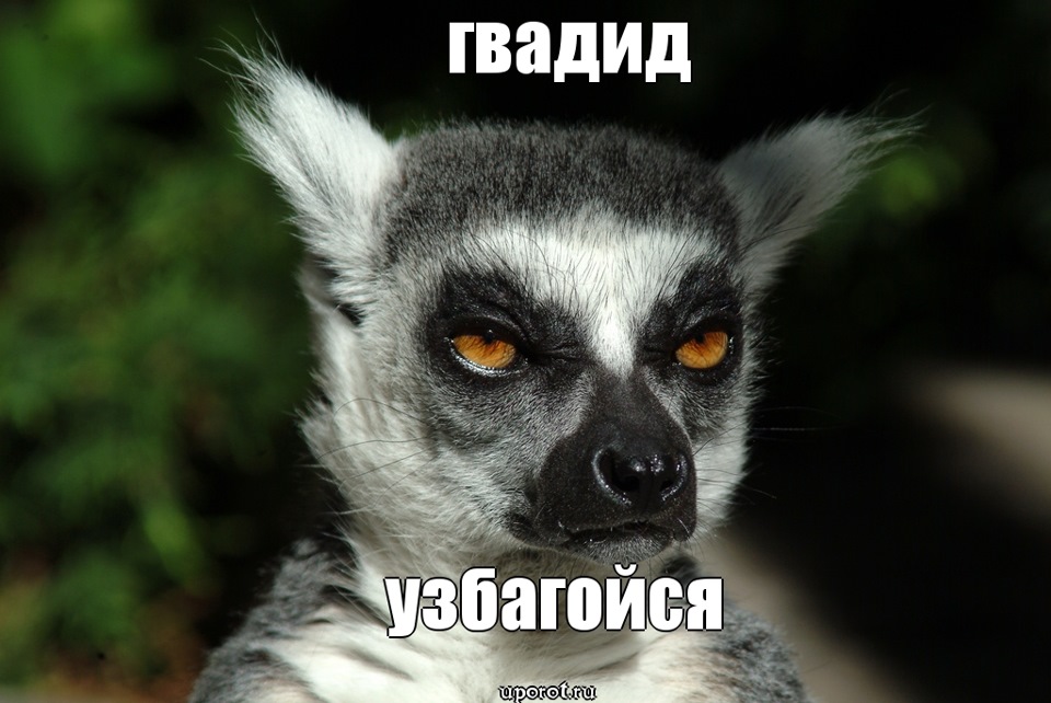 Успокойтесь это называется черный юмор мем