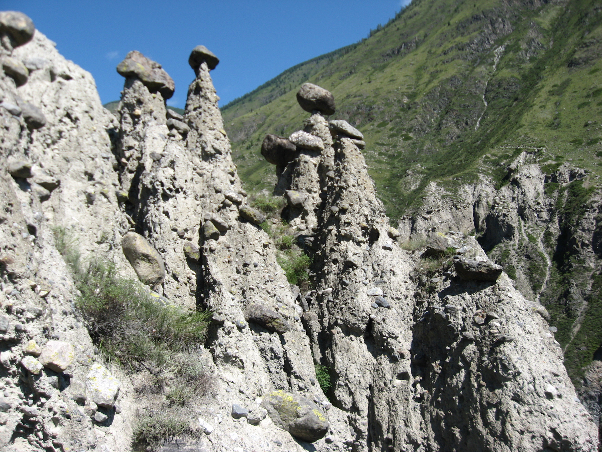 Артыбаш каменные грибы