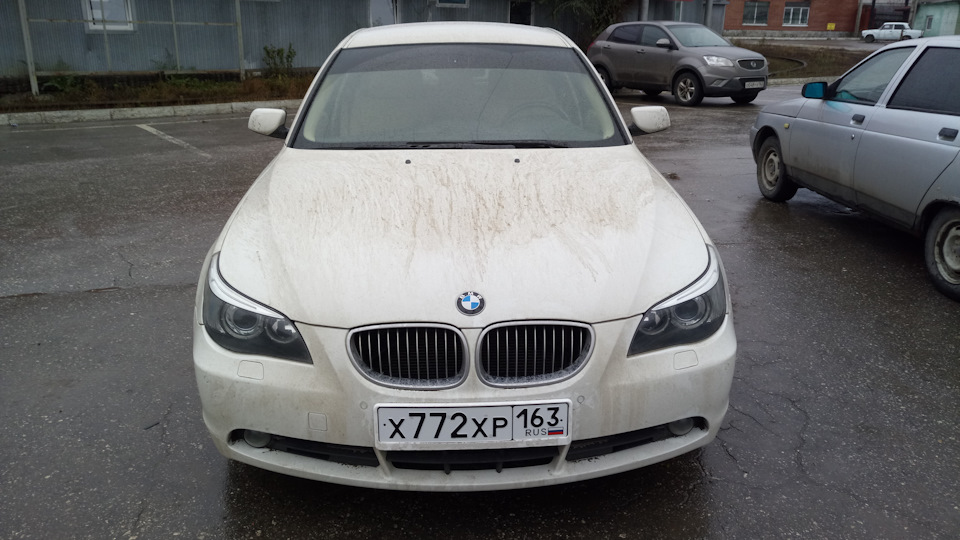 Волков бояться — в лес не ходить! =) — BMW 5 series (E60), 2,5 л., 2007 ...
