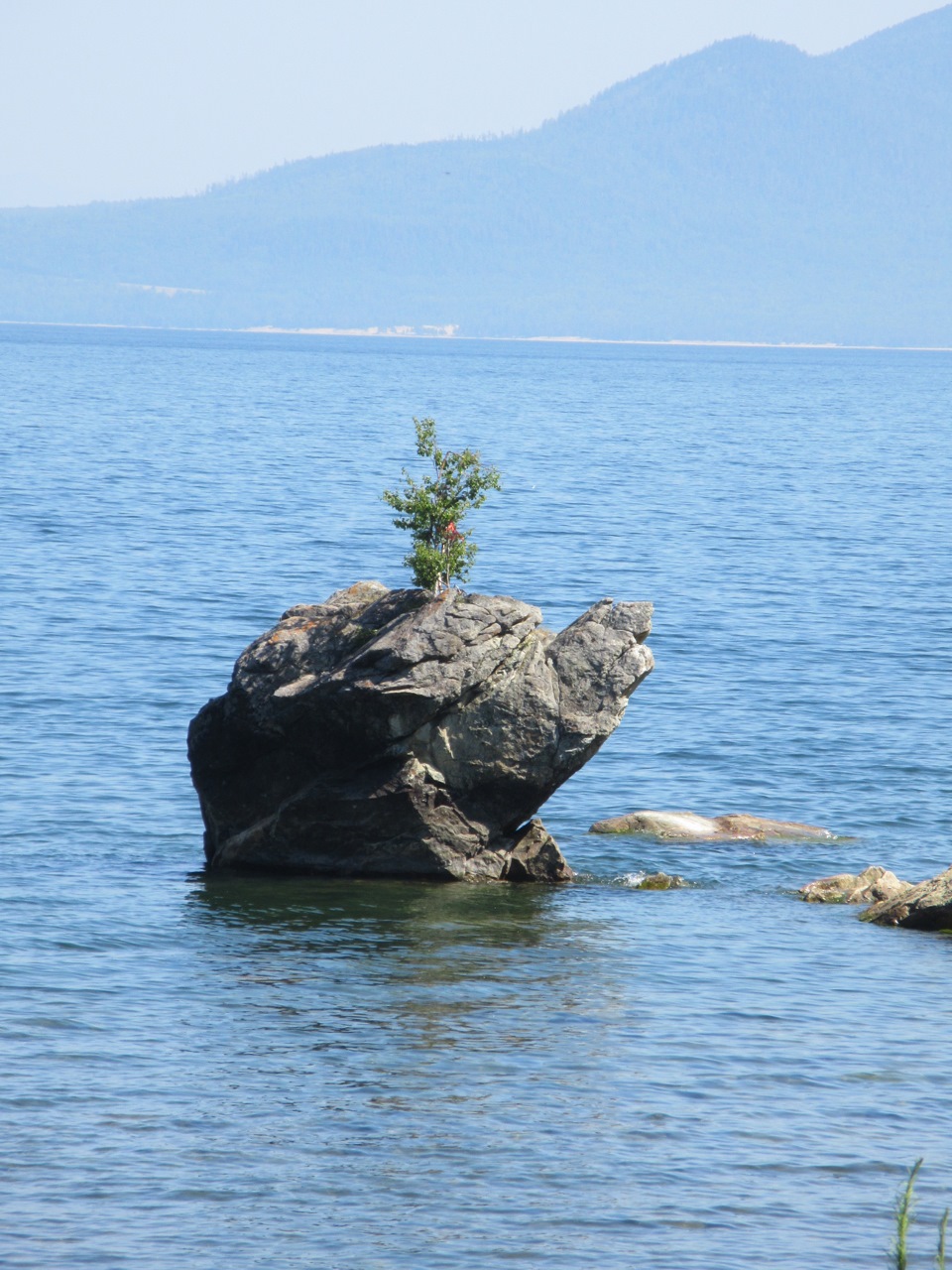 Камни черепахи Горячинск