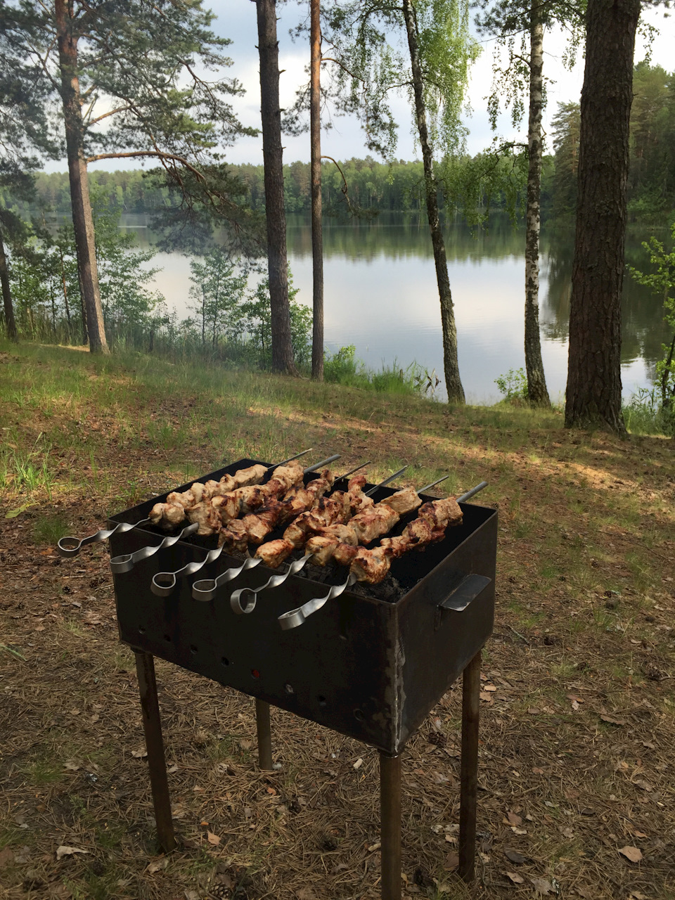 шашлыки на озере