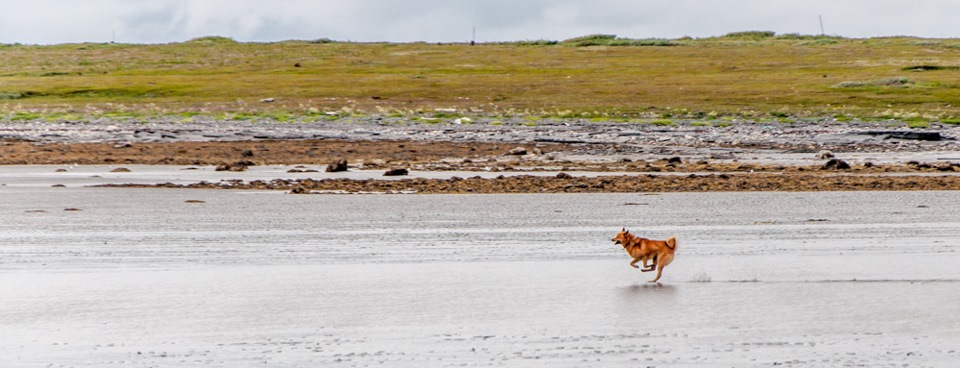 Фото в бортжурнале Mitsubishi Pajero Sport (1G)