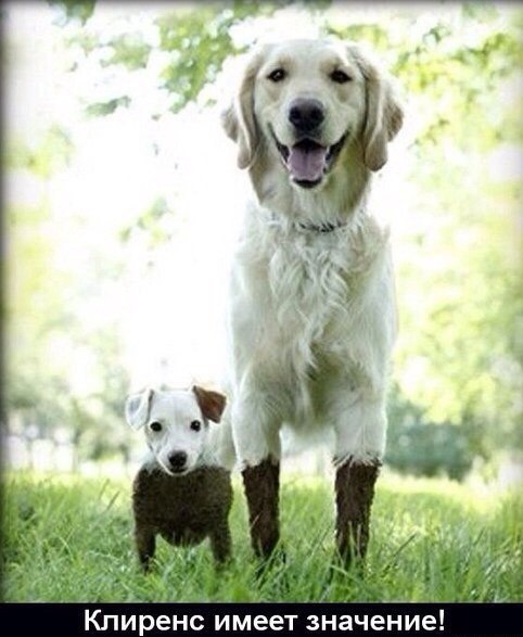 Клиренс — Chevrolet Niva, 1,7 л, 2012 года | наблюдение | DRIVE2