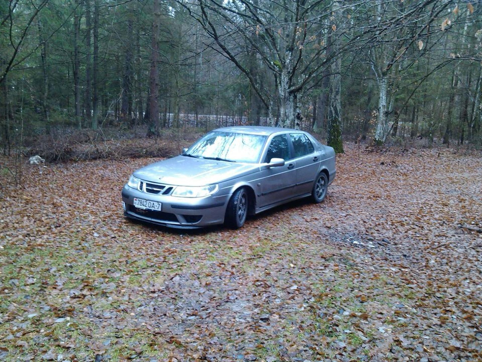 Продам своего 9-5! Созрел на покупку 9-5НГ! — Saab 9-5, 2,3 л, 2002 ...