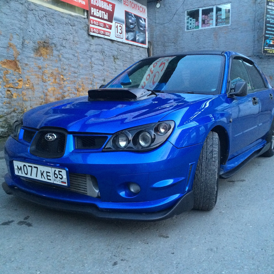 impreza лиса