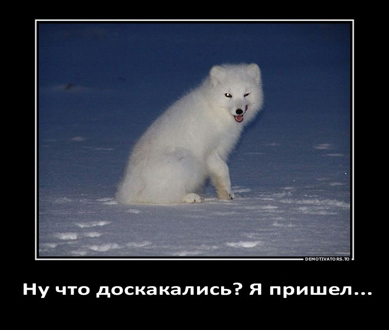 Зона арктических пустынь