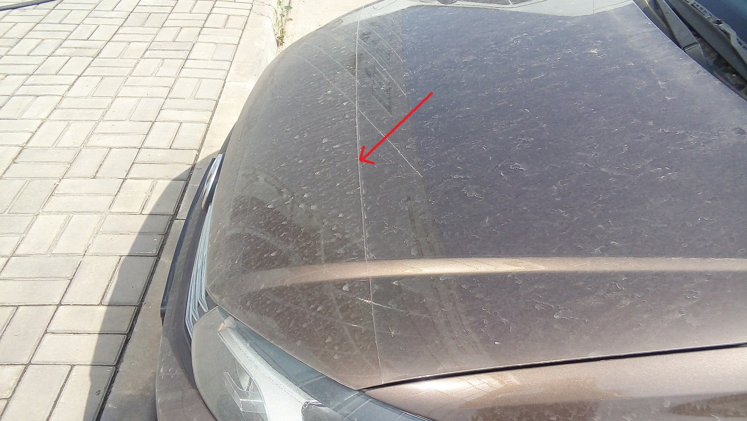 Бронь-пленка на капот — Volkswagen Polo Sedan, 1,6 л, 2016 года ...