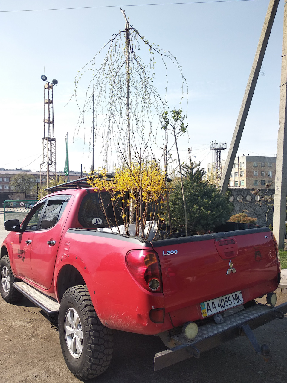 Машина-сад — Mitsubishi L200 (4G), 2,5 л, 2008 года | фотография | DRIVE2