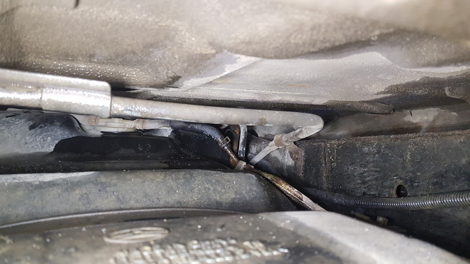 Фото в бортжурнале Great Wall Hover