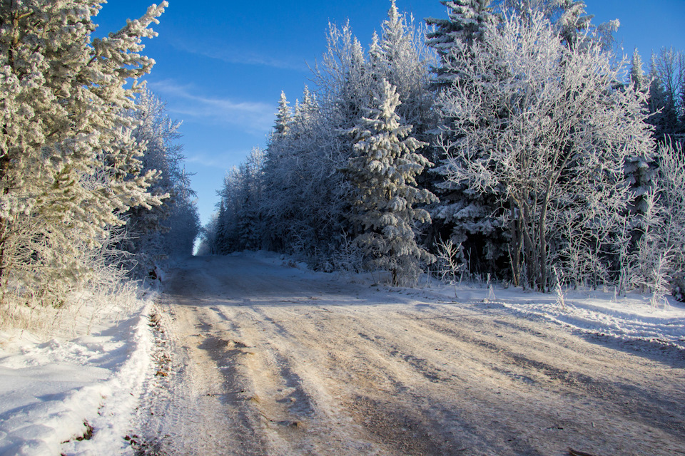Фото в бортжурнале Mitsubishi Pajero (4G)