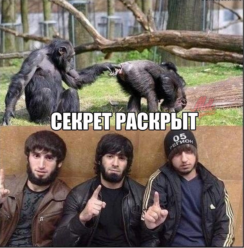 Иншаллах картинки прикольные