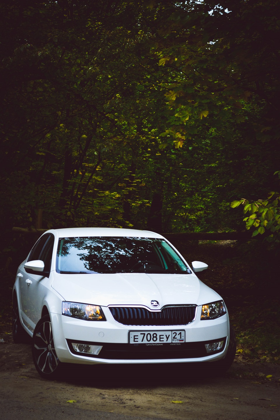 Шкода drive. Азиз Шкода драйв 2. Love at first Drive Skoda.