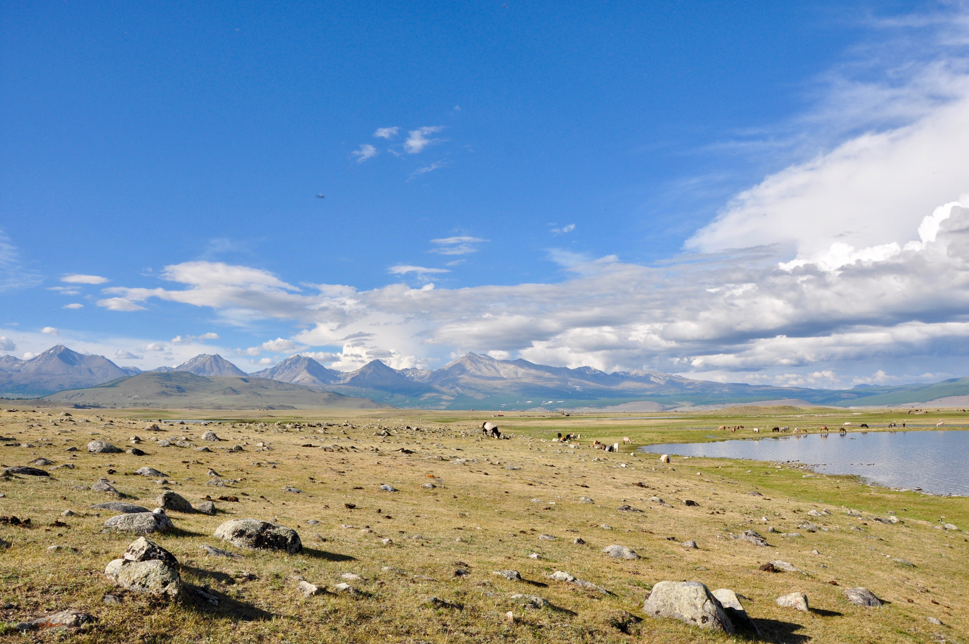 Монголия в какой части света. Джип путешествие Монголия.
