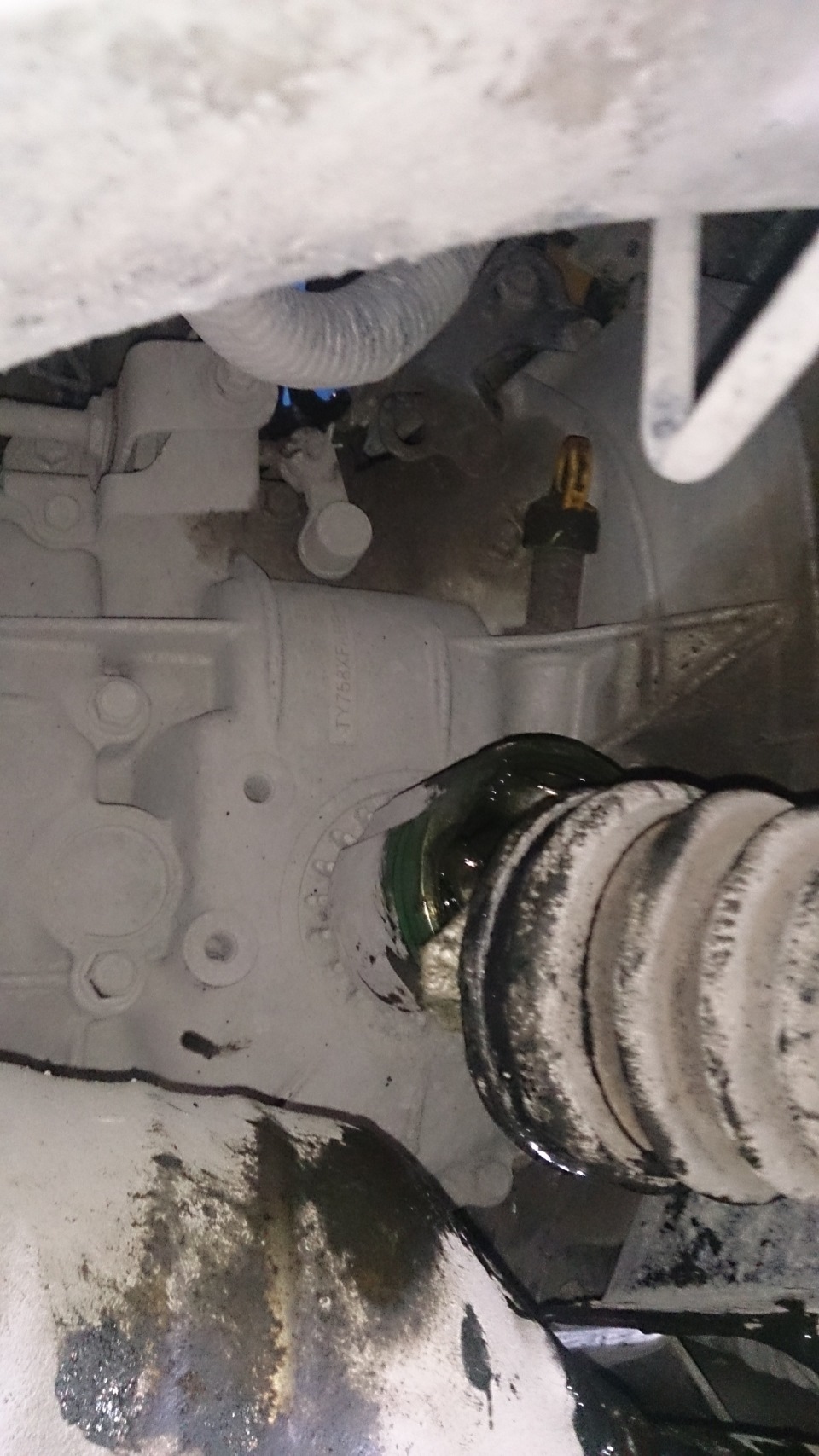 Фото в бортжурнале Subaru Outback (BP)