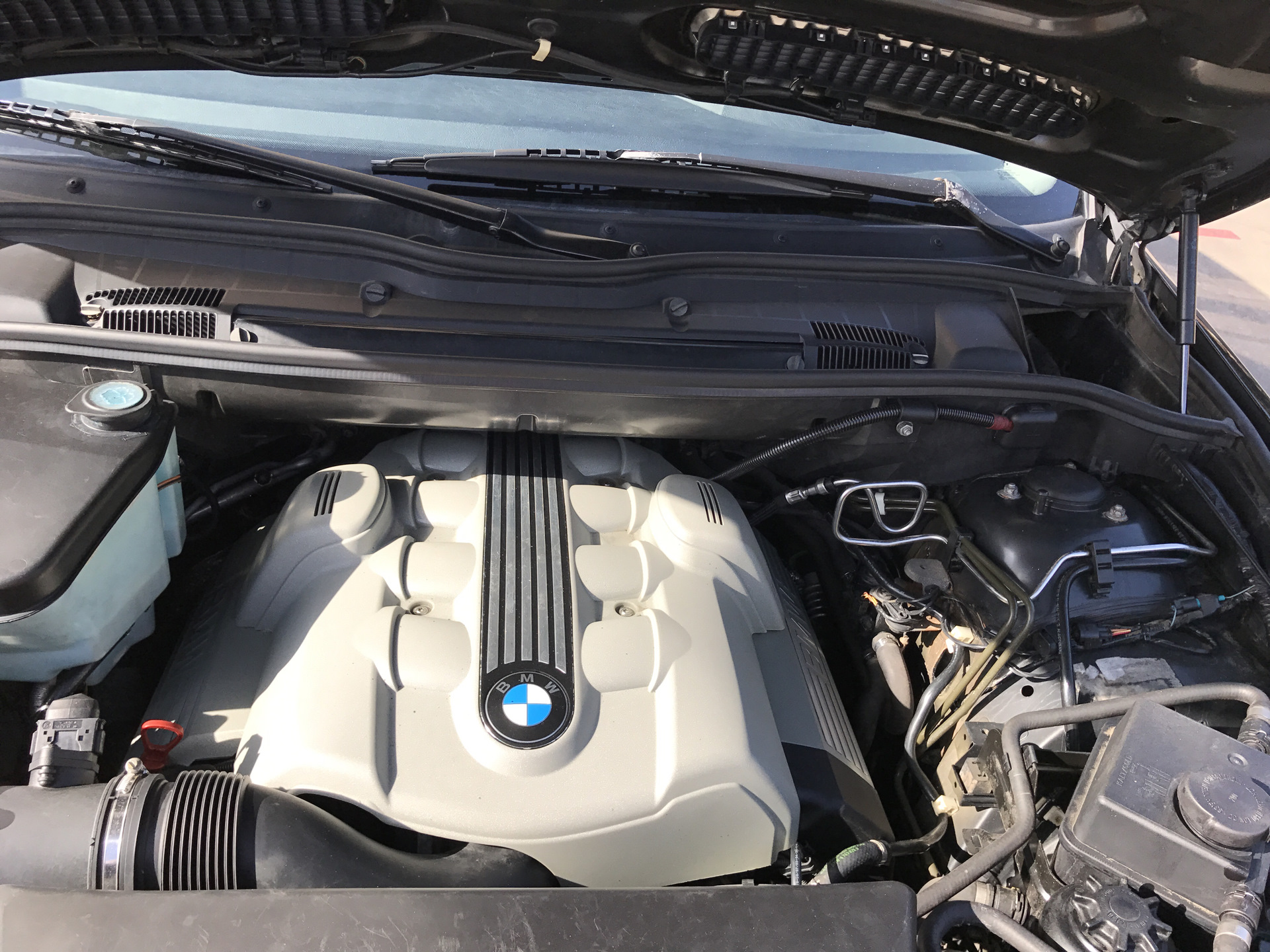 Двигатель х5 е53 3.0. БМВ х5 мотор n53. BMW x5 e53 4.4 двигатель. БМВ е53 4.4 под капотом. Двигатель BMW x5 e53 4.6.