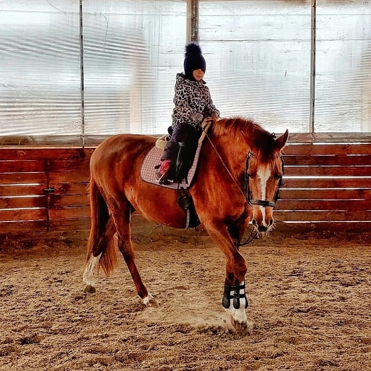 The boys driving horse