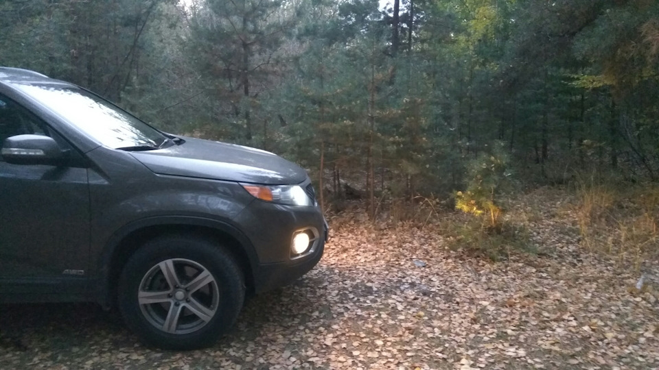 Фото в бортжурнале KIA Sorento (2G)