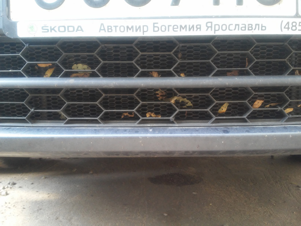 Такая сетка была снизу в бампере — Skoda Rapid (1G)