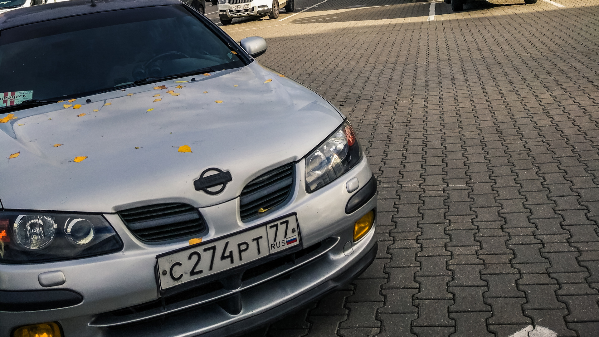 Nissan Almera n16 РћР»РµРі