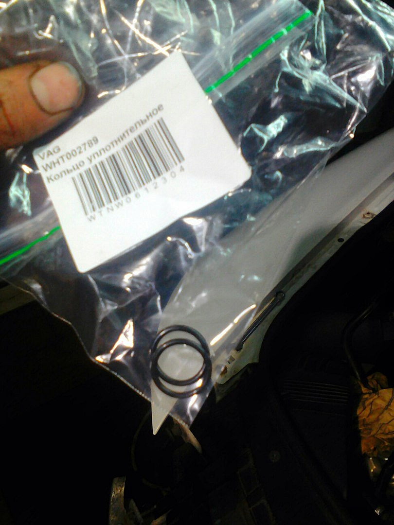 WHT002789 Кольцо уплотнительное (14,8х1,9) / VAG | Запчасти на DRIVE2