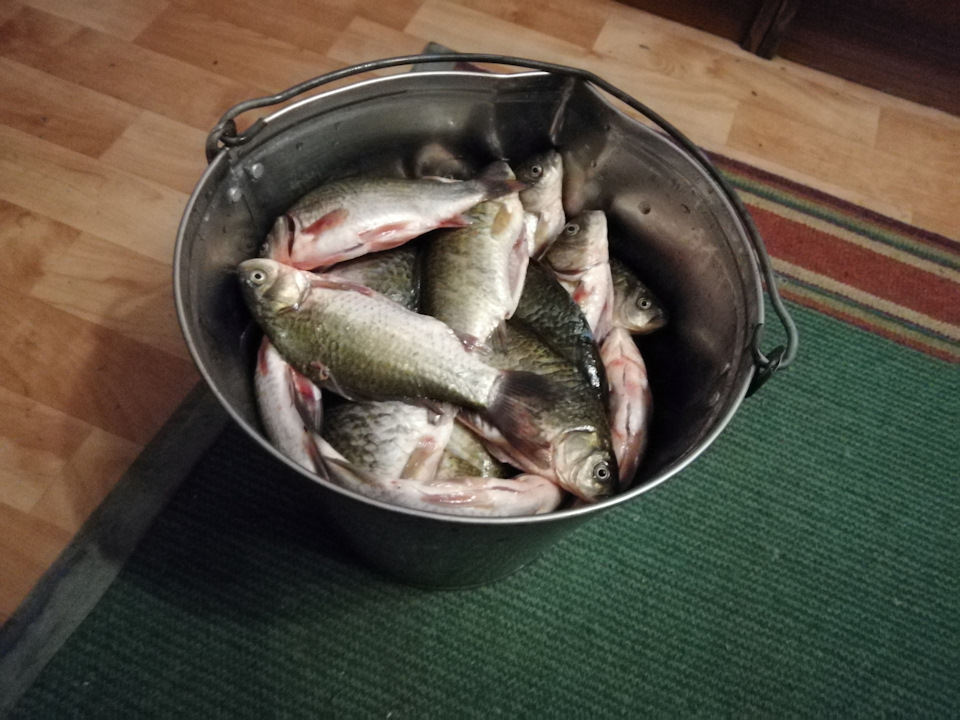 Карасики под пиво… — Lada 4x4 3D