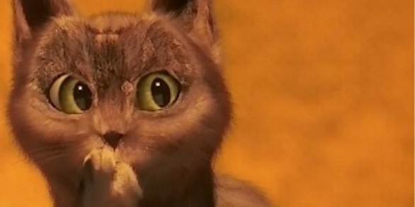 Топ - 7 самых известных котиков