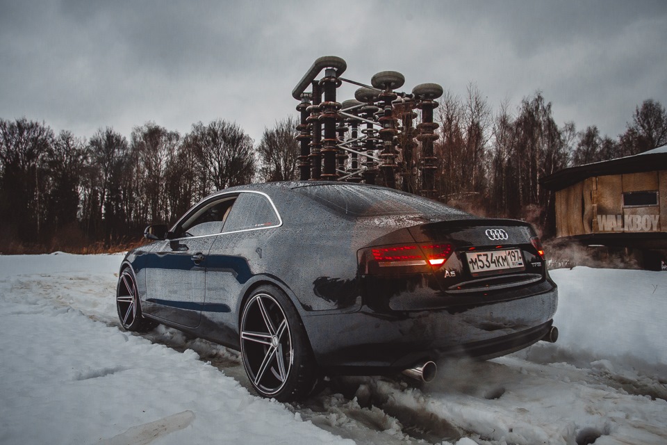 arhivach.org попки $  Тонирована в ХЛАМ! Разоблачение… — Audi A5 (1G), 2 л, 2011 года | стайлинг  | DRIVE2