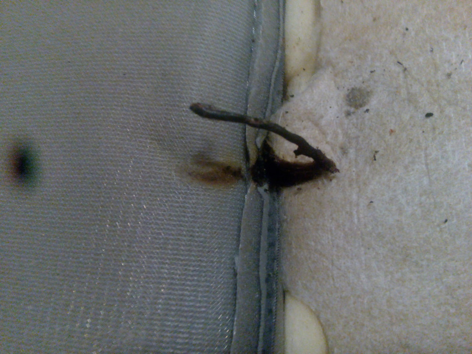 Перетёртый провод. — Daewoo Gentra