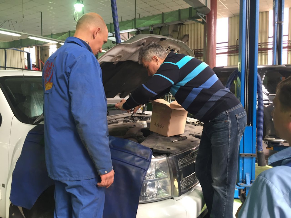 Рассерженные птицы предпочитают гнездится в Шевроле Сильверадо ...