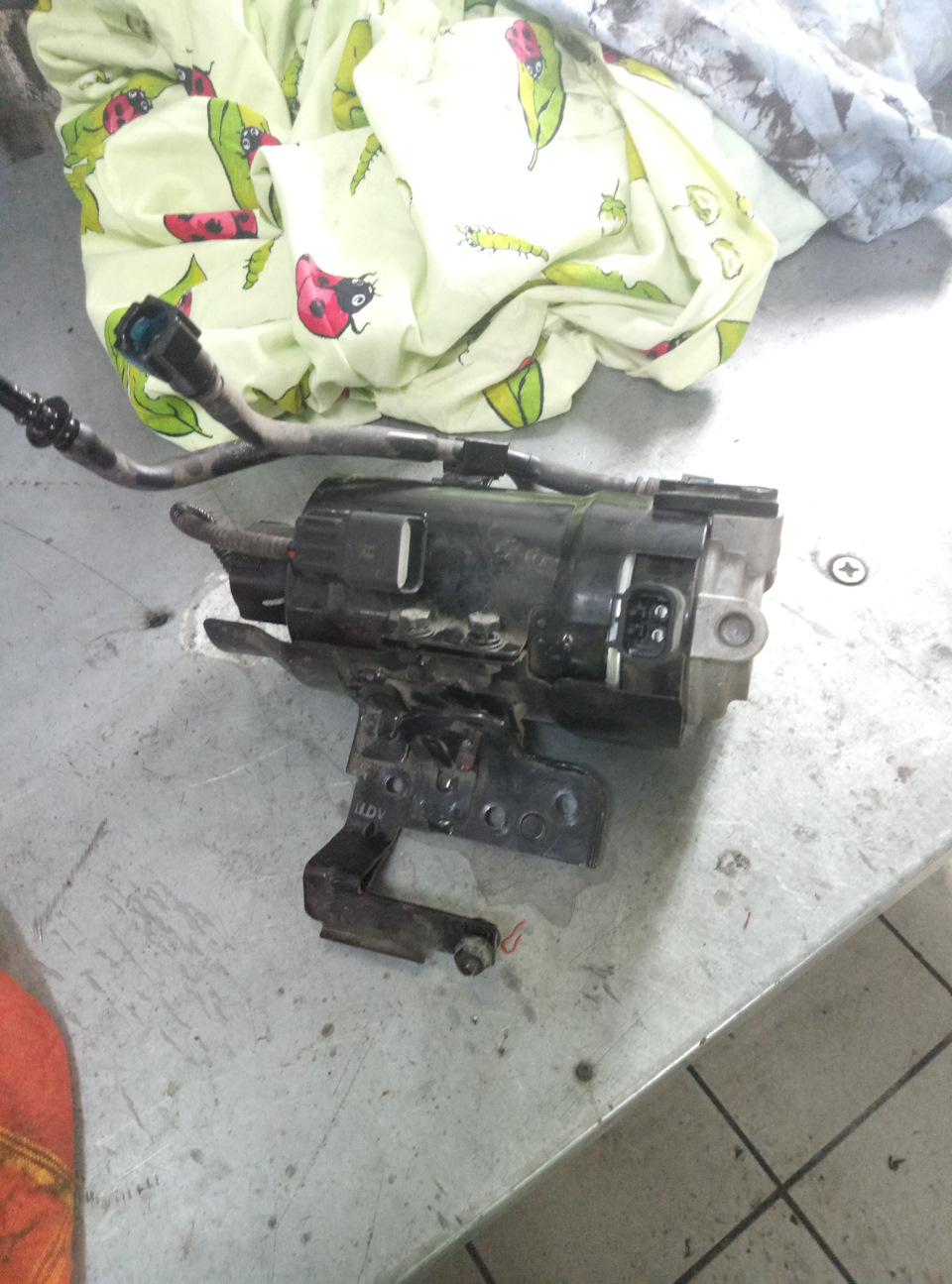 Фото в бортжурнале KIA Sorento (2G)