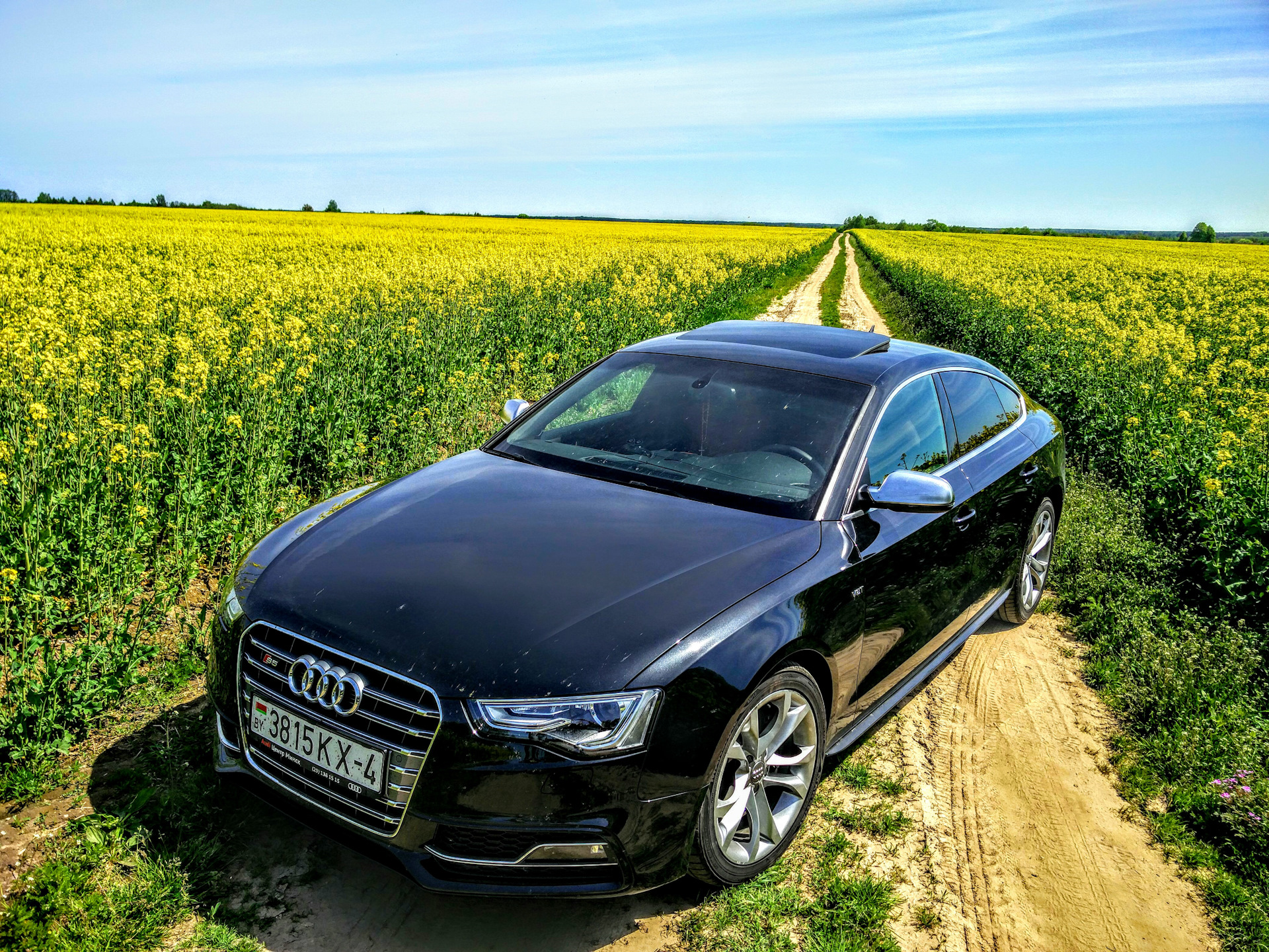 Audi S5 Sportback 1G 3 2013 audi-s5-sportback-1g-3-2013