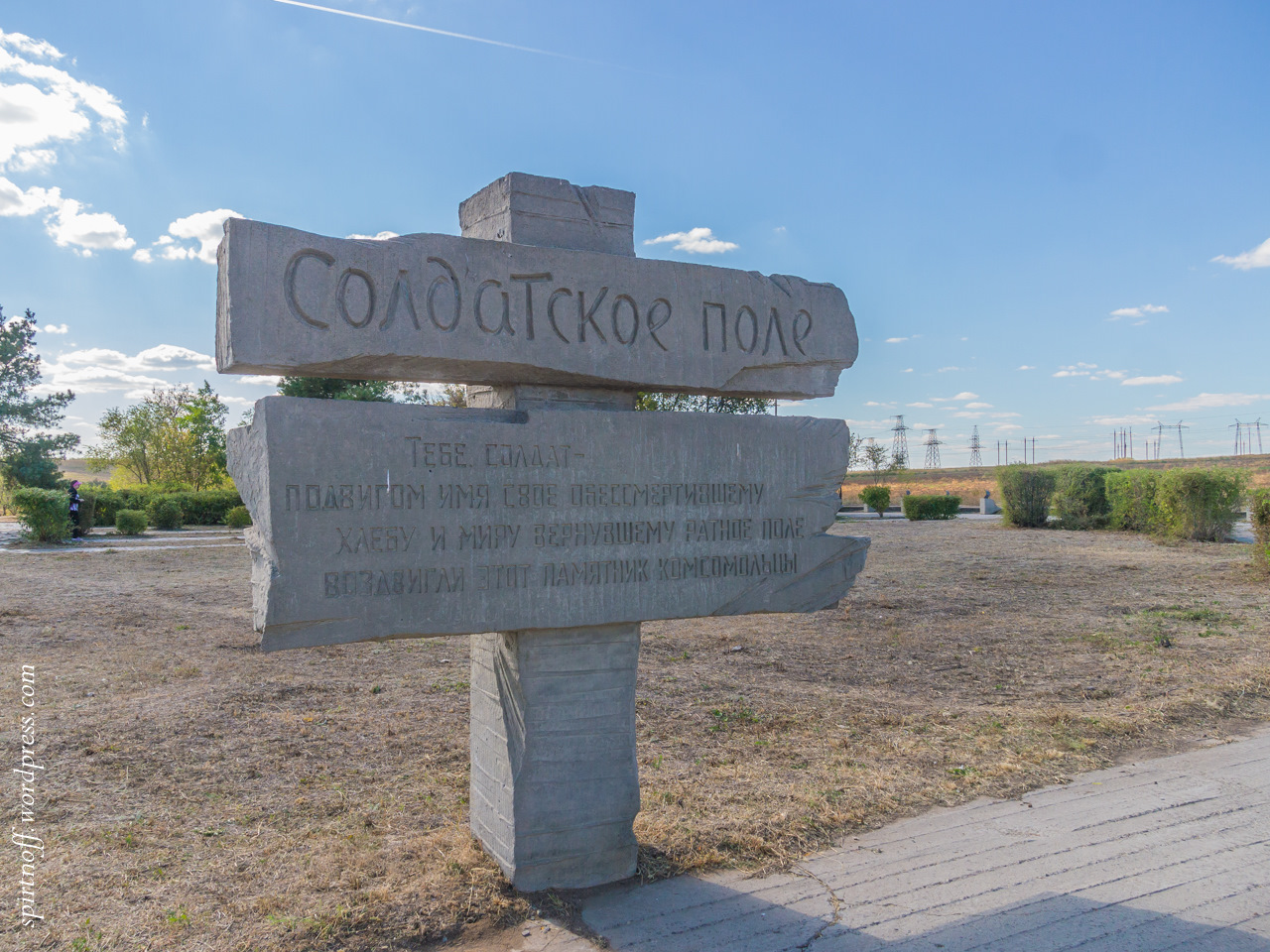 4 большой село. Солдатское поле Воронежская область. Солдатское поле Хохольский район. Солдатское поле Воронеж. Солдатское поле под Острогожском.