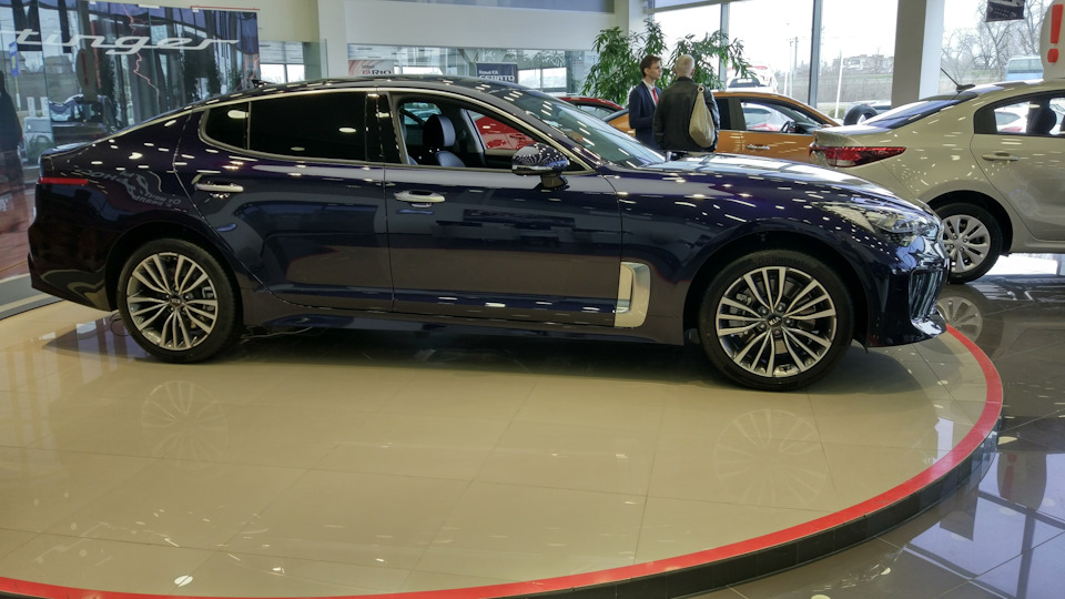 Киа стингер, не бнв !😏 — DRIVE2