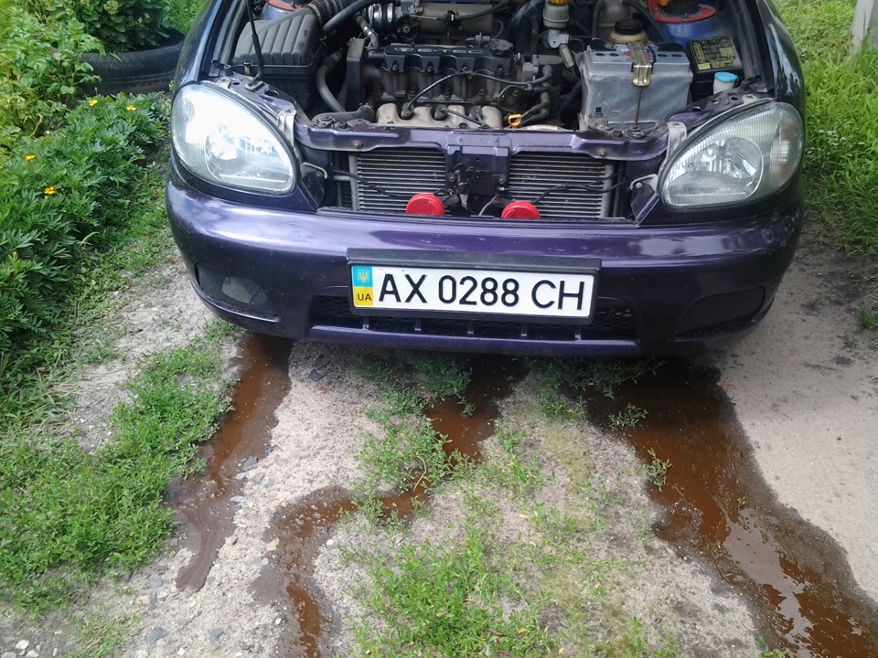 Замена антифриза с промывкой системы охлаждения — Daewoo Lanos, 1,5 л ...