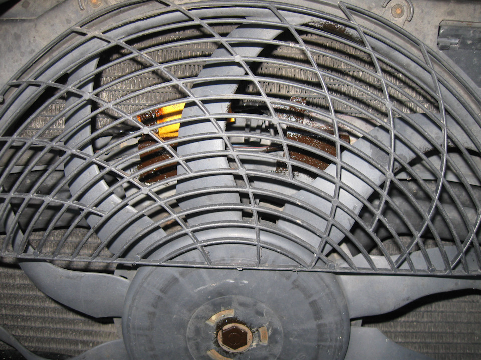 Фото в бортжурнале BMW 5 series Touring (E39)