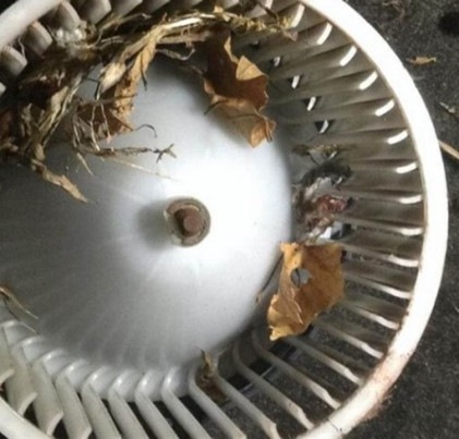 Резистор вентилятора охлаждения что это такое. 768AaAYCC V9RiNQA3zGHnPemzs 960. Резистор вентилятора охлаждения что это такое фото. Резистор вентилятора охлаждения что это такое-768AaAYCC V9RiNQA3zGHnPemzs 960. картинка Резистор вентилятора охлаждения что это такое. картинка 768AaAYCC V9RiNQA3zGHnPemzs 960. Все началось с банального отрыга основного вентилятора охлаждения. Машина стала больше нужного греться в пробках и менее продуктивно охлаждаться. Звучит странно, согласен, но есть всему объяснение.Как я выяснил, оба вентилятора записаны запитаны на один предохранитель 30А. При 120 градусах (+-) должен срабатывать основной вентилятор охлаждения, а у меня срабатывал вентилятор кондиционера. Погрешил на датчик включения Карлсона, сбегал до запчастей, купил, поменял.Само собой, так просто это не решилось)При тех же 120+- градусах, питания в цепи датчика не было. Стал уже думать про вентилятор. Но! Существует такая дрянь, как некий резистор вентилятора охлаждения. Резистор вентилятора охлаждения что это такое. 768AaAYCC V9RiNQA3zGHnPemzs 960. Резистор вентилятора охлаждения что это такое фото. Резистор вентилятора охлаждения что это такое-768AaAYCC V9RiNQA3zGHnPemzs 960. картинка Резистор вентилятора охлаждения что это такое. картинка 768AaAYCC V9RiNQA3zGHnPemzs 960. Все началось с банального отрыга основного вентилятора охлаждения. Машина стала больше нужного греться в пробках и менее продуктивно охлаждаться. Звучит странно, согласен, но есть всему объяснение.Как я выяснил, оба вентилятора записаны запитаны на один предохранитель 30А. При 120 градусах (+-) должен срабатывать основной вентилятор охлаждения, а у меня срабатывал вентилятор кондиционера. Погрешил на датчик включения Карлсона, сбегал до запчастей, купил, поменял.Само собой, так просто это не решилось)При тех же 120+- градусах, питания в цепи датчика не было. Стал уже думать про вентилятор. Но! Существует такая дрянь, как некий резистор вентилятора охлаждения.