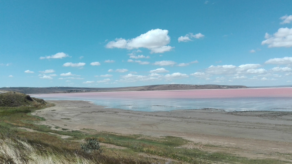 Розовое озеро на дороге в Яковенково — Subaru Impreza (GD/GG)