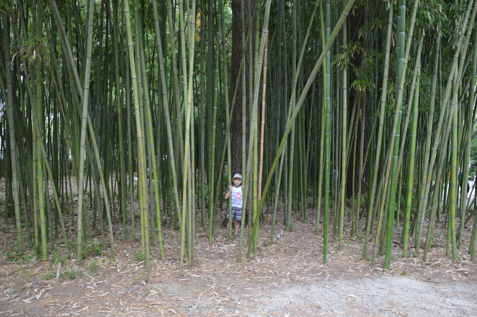 Тростник — УАЗ Patriot