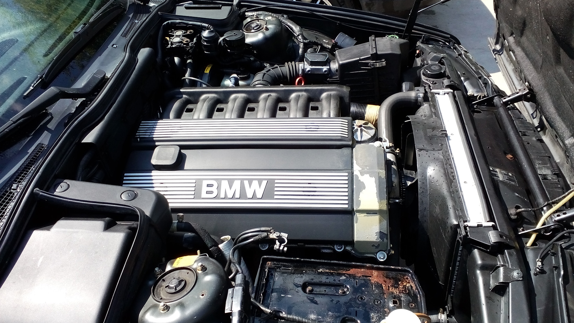 Двигатель б 50. Мотор БМВ м50б20. Двигатель BMW m50b20. БМВ е34 м50б25. Мотор м50 БМВ е34.